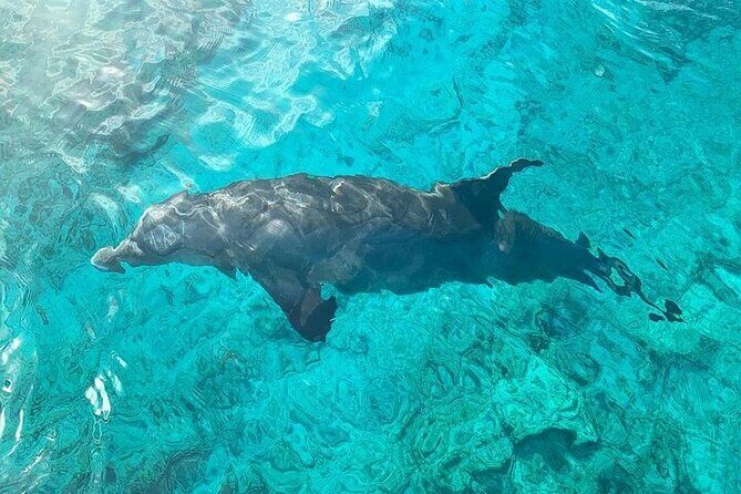 Half Day Snorkeling, Sightseeing & Island Hopping Private Charter - FAQs
