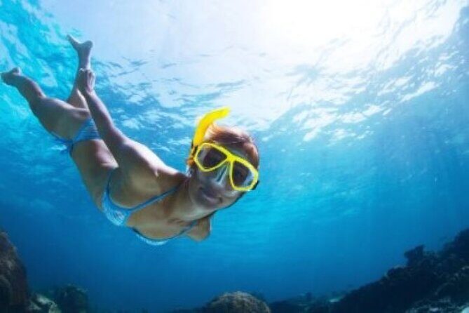 Half Day Snorkeling Tour from Margaritaville - Introduction: Discovering the Half Day Snorkeling Tour from Margaritaville