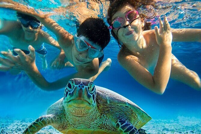 Half Day Snorkeling Tour from Margaritaville - The Experience for Different Types of Travelers