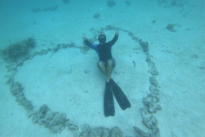 Half-Day Snorkeling Tour in Tahiti - Who Will Love This Tour?
