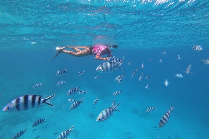 Half-Day Snorkeling Tour in Tahiti - Final Thoughts: Is It Worth It?