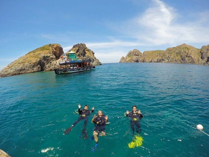 Half-Day Snorkeling trip in Nha Trang with Vietnam Active - An In-Depth Look at the Snorkeling Adventure