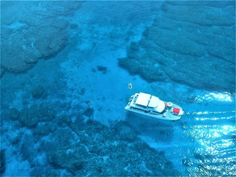 Half-Day Snorkeling Trip to Kerama - Who Will Love This Tour?