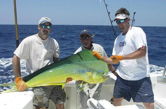 Half Day Sport Fishing Excursion Departing from Sosua - The Sum Up