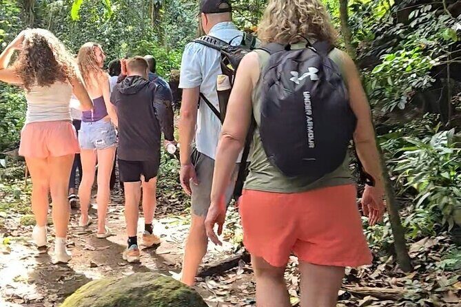 Half-Day St. Kitts Rainforest Hike - Exploring the Half-Day St. Kitts Rainforest Hike: An Authentic Nature Adventure