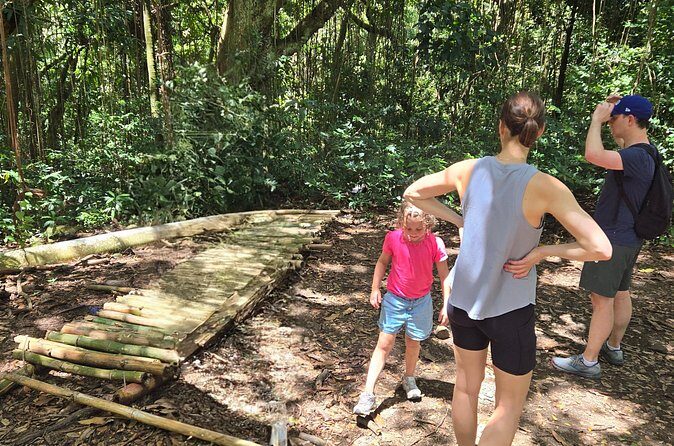 Half-Day St. Kitts Rainforest Hike - The Challenge and the Charm