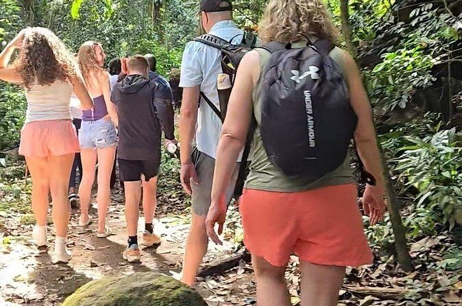Half-Day St. Kitts Rainforest Hike - The Scenic Highlights and Wildlife