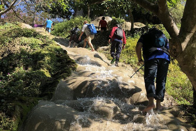 Half day Sticky Waterfall (Bua Thong Waterfall) and local market - Authentic Experiences and Genuine Reviews