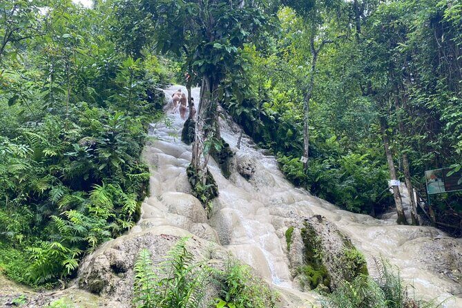 Half day Sticky Waterfall (Bua Thong Waterfall) and local market - The Sum Up: Who Will Love This Tour?
