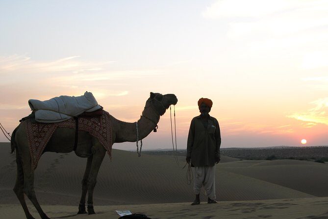 Half Day Sunset Camel ride & Cultural program dance & dinner - Why This Tour Works