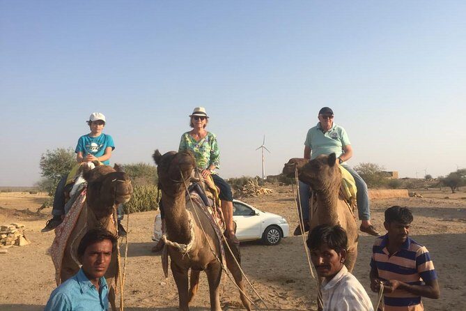 Half-Day Sunset Camel Safari in Rajasthan - An In-Depth Look at the Sunset Camel Safari