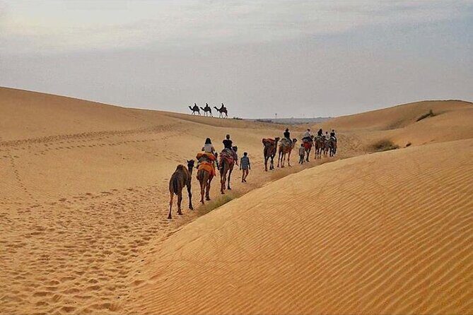 Half Day Sunset Camel Safari Jaisalmer - Why This Tour Stands Out