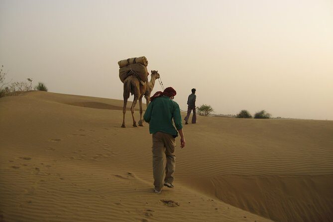 Half-Day Sunset tour with cultural program - Discovering the Half-Day Sunset Tour with Cultural Program in Jaisalmer