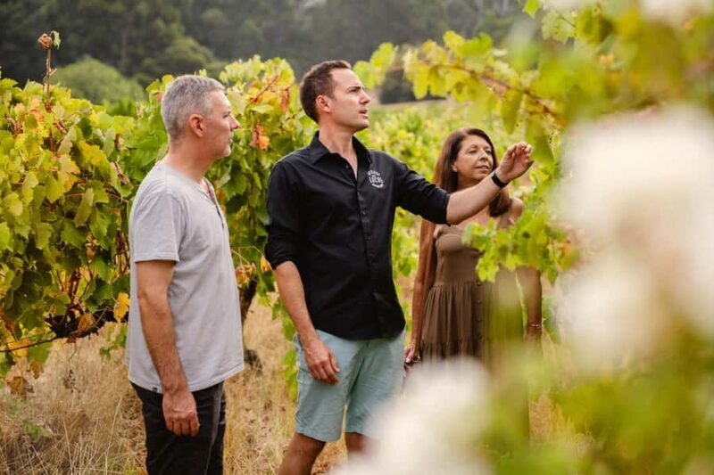 Half-Day Swan Valley Wine Tour with Tastings - From Perth - Why Choose This Swan Valley Wine Tour?