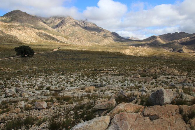 Half-Day Swartberg Pass PRIVATE Tour (including lunch & transfer - Oudtshoorn) - The Bottom Line