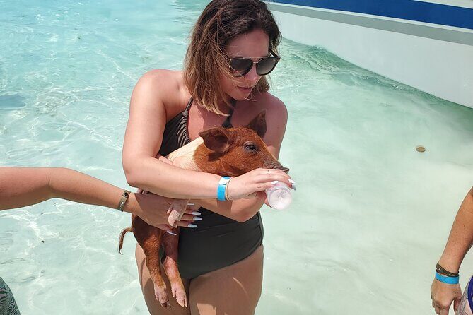 HALF DAY Swiming Pigs and Sharks Tour (Nassau to Exuma by Plane) - The Value of This Tour
