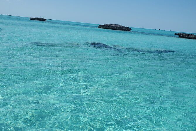 HALF DAY Swiming Pigs and Sharks Tour (Nassau to Exuma by Plane) - Frequently Asked Questions
