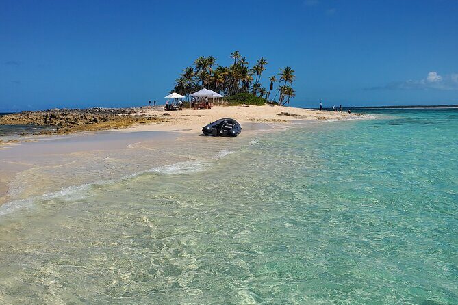 HALF DAY Swiming Pigs and Sharks Tour (Nassau to Exuma by Plane) - In Closing