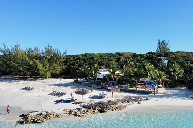 Half Day Swimming Pigs on Rose Island, Snorkeling and Lunch - Final Thoughts: Who Will Love This Tour?
