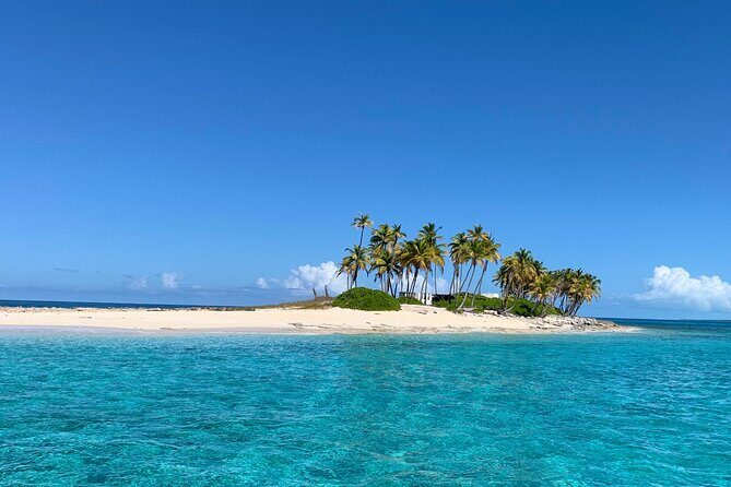 Half Day Swimming Pigs on Rose Island, Snorkeling and Lunch - FAQ