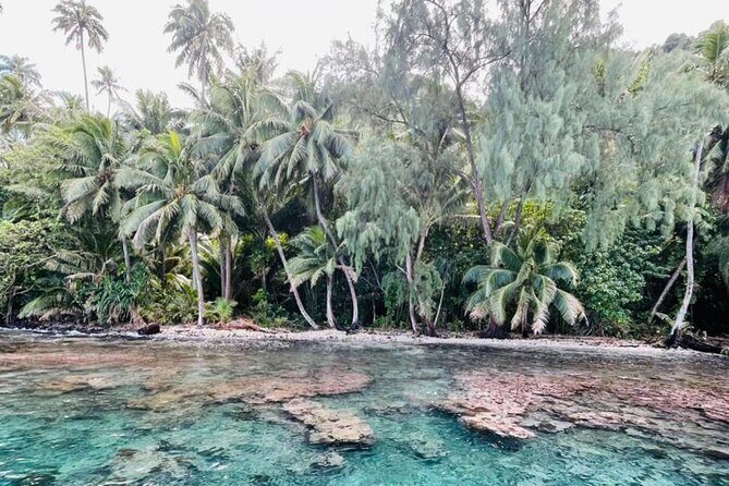 Half day Tahiti Peninsula and Teahupoo boat tour (shared boat) - What We Loved & What to Keep in Mind
