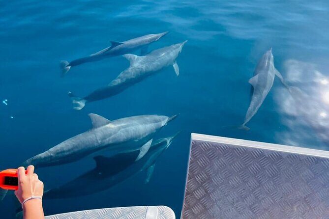 Half day Tahiti Peninsula and Teahupoo boat tour (shared boat) - FAQ