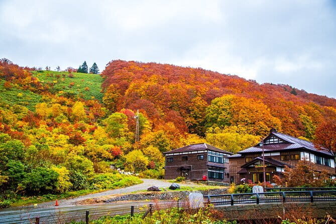 Half Day Takayama Inari Shrine Tour with Licensed Guide - Who Will Love This Tour?