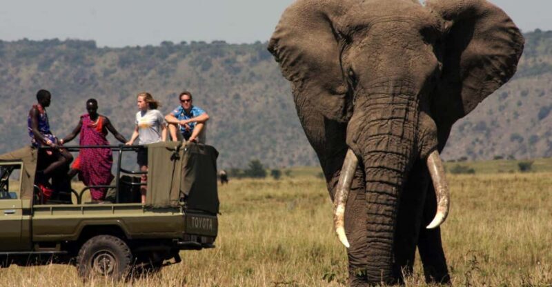 Half Day Tala Game Reserve & Natal Lion Park from Durban - Logistics and Practicalities
