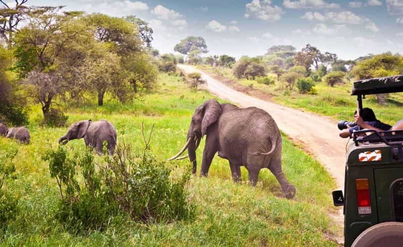 Half Day Tala Game Reserve & Natal Lion Park from Durban - Who should consider this tour?