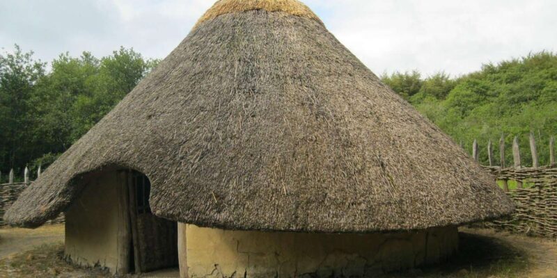Half-Day Tala Game Reserve & Phezulu Safari Park from Durban - A Practical Look at the Half-Day Tala Game Reserve & Phezulu Safari Park Tour
