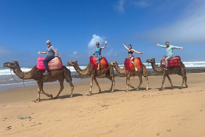 Half-Day Tangier Private Tour & Camel Ride & Colorful Markets - Who Will Love This Tour?
