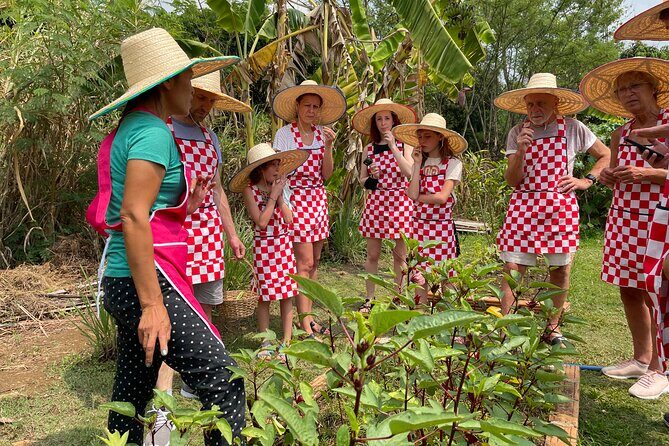 Half-Day Thai Cooking Class at Organic Farm in Chiang Mai - A Deep Dive into the Experience