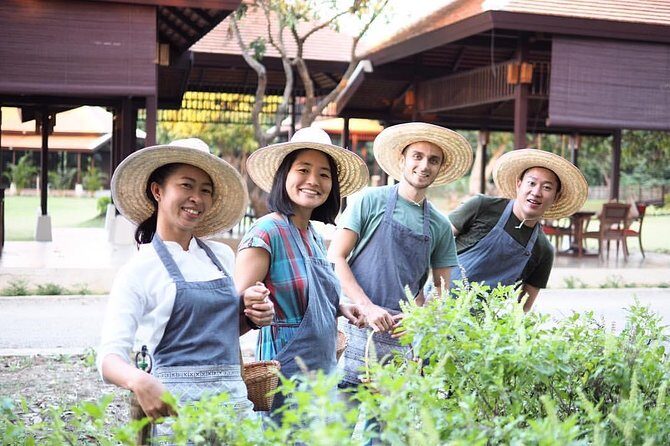 Half Day Thai Cooking Class in Organic Farm - Evening Session - An Inside Look at the Experience
