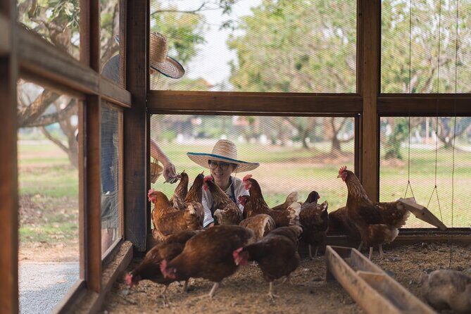 Half Day Thai Cooking Class in Organic Farm - Evening Session - FAQ