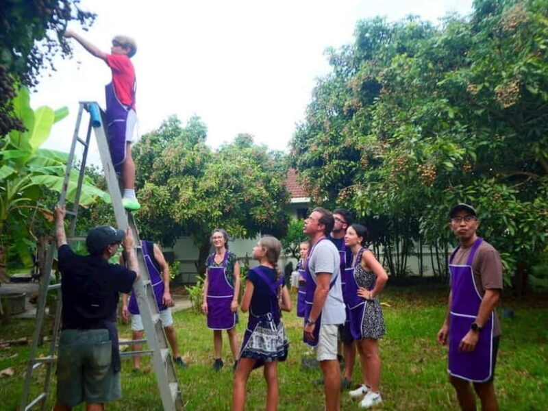 Half-Day Thai Cooking Class on a Local Farm Near Chiang Mai - Who Will Appreciate This Experience?