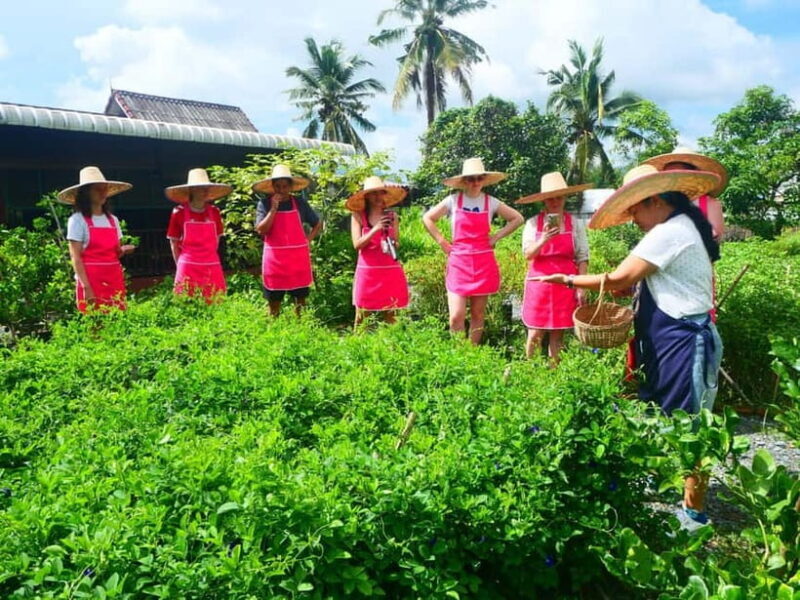 Half-Day Thai Cooking Class on a Local Farm Near Chiang Mai - Practical Tips for Your Visit