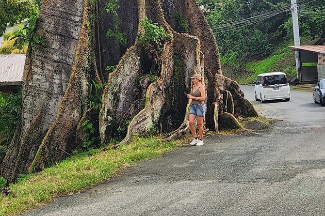 Half Day Tobago Tours with Transfers - A Detailed Look at the Itinerary