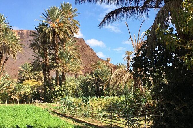 Half-Day Todra Gorges Hike - The Sum Up