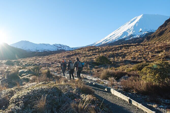 Half Day Tongariro Alpine Guided Group Walk - The Sum Up: The Right Fit for Adventurous Short-Stayers