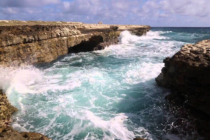 Half-Day Tour: A Taste of Paradise and History of Antigua - Introduction