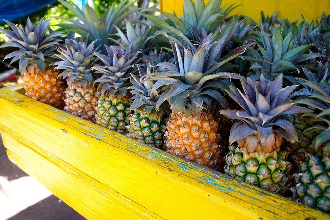 Half-Day Tour: A Taste of Paradise and History of Antigua - Transportation and Comfort