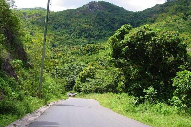 Half-Day Tour: A Taste of Paradise and History of Antigua - Authentic Experiences and Highlights