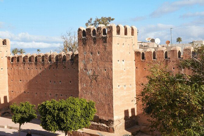 Half day tour : Agadir Goats in argan trees & Souk El Had Market - The Sum Up