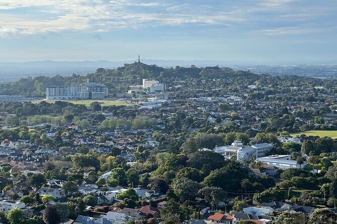Half-Day Tour: AUCKLAND CITY Highlights with Hotel Pickup - What to Expect: A Detailed Tour Breakdown