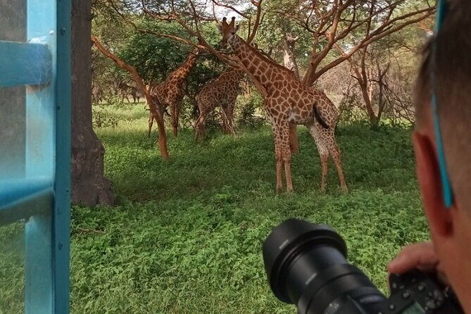 Half Day Tour :Bandia Animals Reserve - FAQ