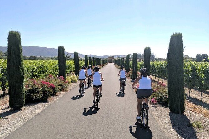 Half Day Tour - The Bottom Line: Why Choose This Tour?