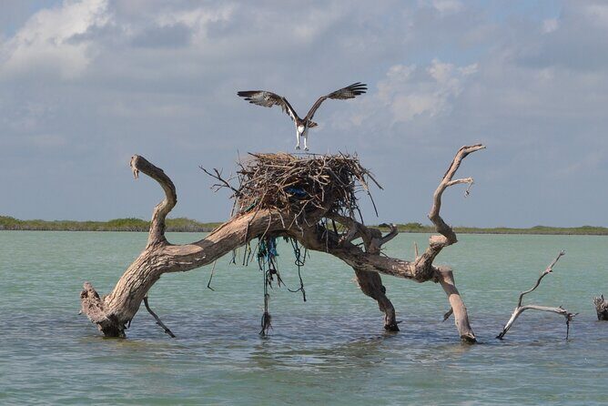 Half-Day Tour Discovering Sian Ka´an with Lunch - A Closer Look at the Itinerary
