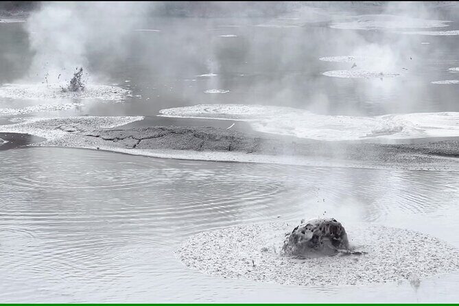Half-Day Tour - Ex Rotorua: WAI-O-TAPU Thermal Wonderland - The Sum Up