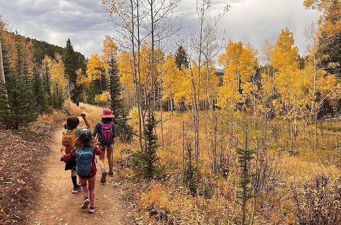 Half Day Tour from Denver Private Guided Hike with Curated Picnic - FAQs