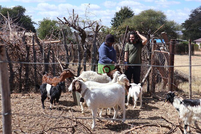 Half Day Tour from Gaborone (Manyana Village Visit) - Frequently Asked Questions